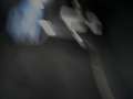 Peugeot 308 SW BlueHDi 130 EAT8 GT Excluisive Grau - thumbnail 33