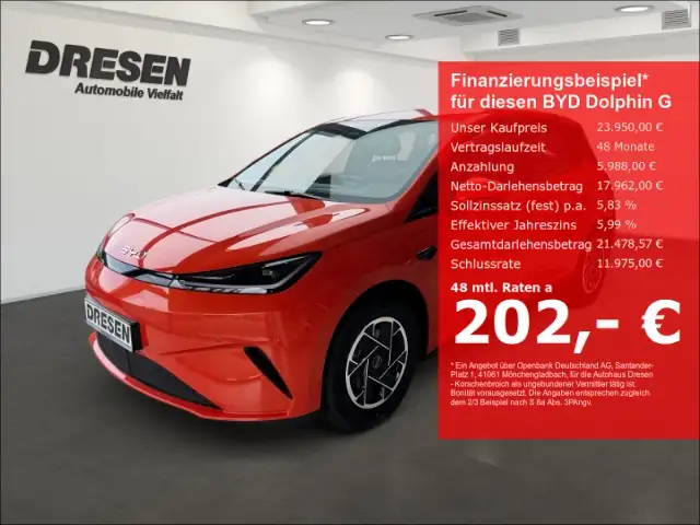 BYD Dolphin G