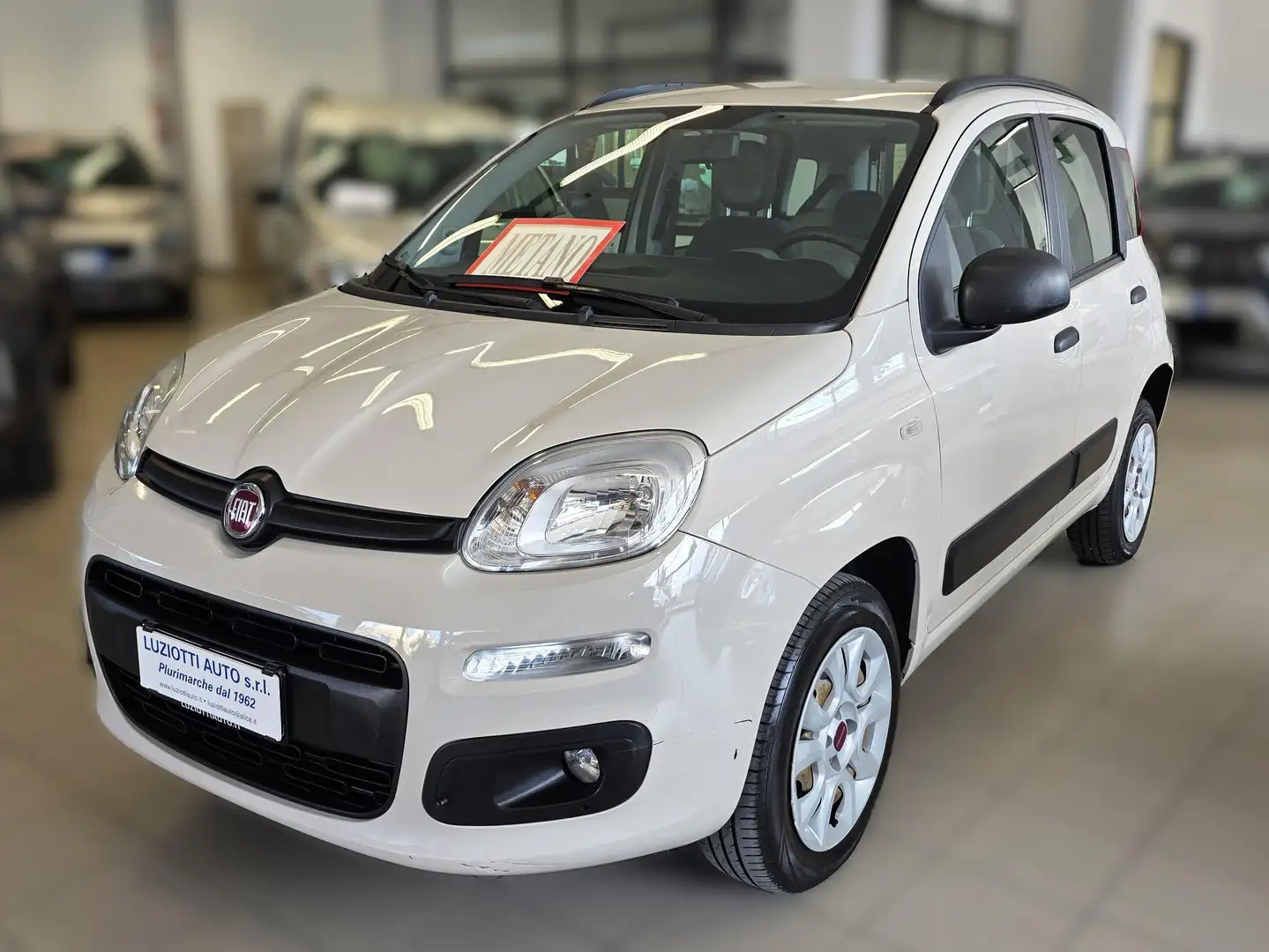 Fiat Panda PANDA NATURA POWER - UNICO PROPRIETARIO Beige - 2