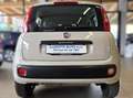 Fiat Panda PANDA NATURA POWER - UNICO PROPRIETARIO Beige - thumbnail 4
