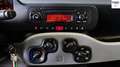 Fiat Panda PANDA NATURA POWER - UNICO PROPRIETARIO Beige - thumbnail 12