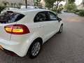 Kia Rio Kia Rio 1.2 CVVT Plus Pack I 5DRS 2013 Wit Blanc - thumbnail 3