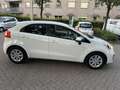 Kia Rio Kia Rio 1.2 CVVT Plus Pack I 5DRS 2013 Wit Blanc - thumbnail 4