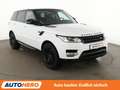 Land Rover Range Rover Sport 2.0 TD Sd4 HSE Aut.*NAVI*XENON*CAM*PDC*SHZ*AHK* White - thumbnail 8