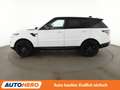 Land Rover Range Rover Sport 2.0 TD Sd4 HSE Aut.*NAVI*XENON*CAM*PDC*SHZ*AHK* White - thumbnail 3