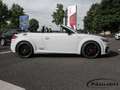 Audi TT Roadster 45 TFSI S-line Competition Plus*KAMERA*NA Blanco - thumbnail 5