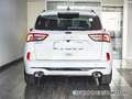 Ford Kuga 1.5 EcoBlue ST-Line FWD 120 Weiß - thumbnail 14