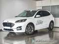 Ford Kuga 1.5 EcoBlue ST-Line FWD 120 Weiß - thumbnail 31