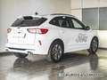 Ford Kuga 1.5 EcoBlue ST-Line FWD 120 Weiß - thumbnail 11