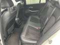 BMW 320 dx M Sport LivePR H/K ACC Kam 360 KOM AHK 19 Wit - thumbnail 14