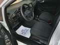 Ford Fiesta 1.5TDCi Trend+ 85 Blanco - thumbnail 6