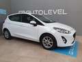 Ford Fiesta 1.5TDCi Trend+ 85 Blanco - thumbnail 11