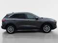 Ford Kuga 2.5 PHEV Titanium I Camera I Winterpakket I Cruise Gris - thumbnail 8
