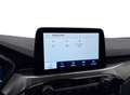 Ford Kuga 2.5 PHEV Titanium I Camera I Winterpakket I Cruise Gris - thumbnail 17