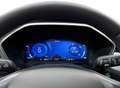 Ford Kuga 2.5 PHEV Titanium I Camera I Winterpakket I Cruise Gris - thumbnail 21