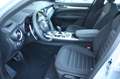 Alfa Romeo Stelvio 2.2 diesel 160 CV AT8 RWD Sprint AUTOCARRO NUOVO Grigio - thumbnail 6