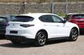 Alfa Romeo Stelvio 2.2 diesel 160 CV AT8 RWD Sprint AUTOCARRO NUOVO Grigio - thumbnail 5