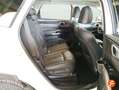 Kia Sorento 1.6 T-GDi HEV Plus Edition 4x2 7pl Blanco - thumbnail 13