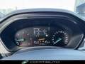 Ford Focus 1.5 EcoBlue 115 CV automatico 5p. ST-Line Grigio - thumbnail 15