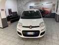 Fiat Panda Panda III 2016 1.2 Easy 69cv - OK NEOPATENTATI Bianco - thumbnail 2