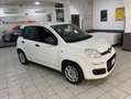 Fiat Panda Panda III 2016 1.2 Easy 69cv - OK NEOPATENTATI Bianco - thumbnail 3