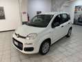 Fiat Panda Panda III 2016 1.2 Easy 69cv - OK NEOPATENTATI Bianco - thumbnail 1