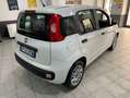 Fiat Panda Panda III 2016 1.2 Easy 69cv - OK NEOPATENTATI Bianco - thumbnail 4
