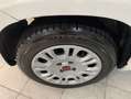 Fiat Panda Panda III 2016 1.2 Easy 69cv - OK NEOPATENTATI Bianco - thumbnail 10