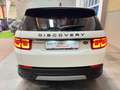 Land Rover Discovery Sport 2.0D I4 L.Flw SE AWD Auto 150 Weiß - thumbnail 34