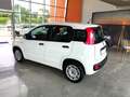 Fiat Panda Panda III 2016 1.2 Easy easypower Gpl 69cv Bianco - thumbnail 5