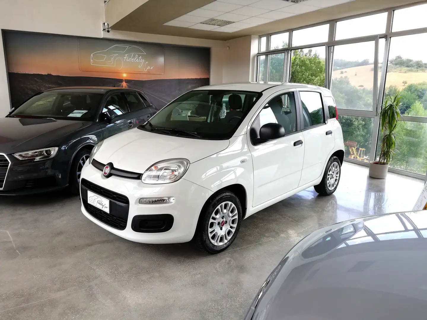 Fiat Panda Panda III 2016 1.2 Easy easypower Gpl 69cv Bianco - 1