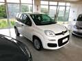 Fiat Panda Panda III 2016 1.2 Easy easypower Gpl 69cv Bianco - thumbnail 3