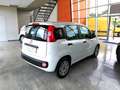 Fiat Panda Panda III 2016 1.2 Easy easypower Gpl 69cv Bianco - thumbnail 4