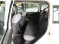Fiat Panda Panda III 2016 1.2 Easy easypower Gpl 69cv Bianco - thumbnail 7