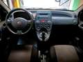 Fiat Panda Panda 1.2 Dynamic 69cv E5 Blanco - thumbnail 11