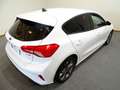 Ford Focus 1.0 Ecoboost MHEV 92kW ( 125CV ) ST-Line Weiß - thumbnail 6