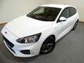 Ford Focus 1.0 Ecoboost MHEV 92kW ( 125CV ) ST-Line Weiß - thumbnail 2