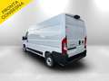 Fiat Ducato L3 H2 140 CV DISPONIBILITA' IMMEDIATA Wit - thumbnail 7