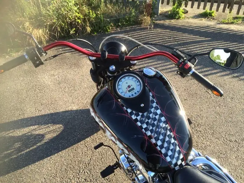 Yamaha XVS 1100 - foto 6