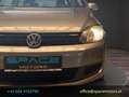 Volkswagen Golf Trendline 1,6 TDI DPF Braun - thumbnail 10