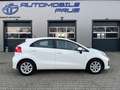 Kia Rio Dream Team Weiß - thumbnail 12