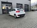 Kia Rio Dream Team Weiß - thumbnail 8