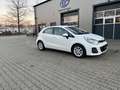 Kia Rio Dream Team Weiß - thumbnail 10