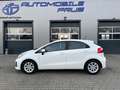 Kia Rio Dream Team Weiß - thumbnail 6