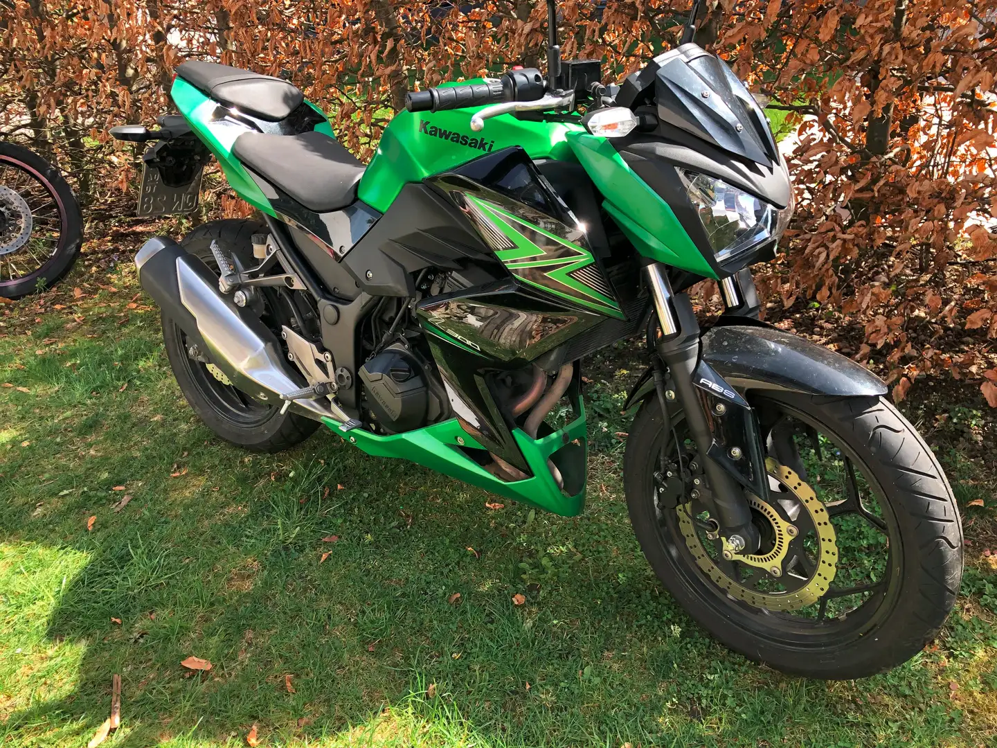 Kawasaki Z 300 ABS zelena - 1