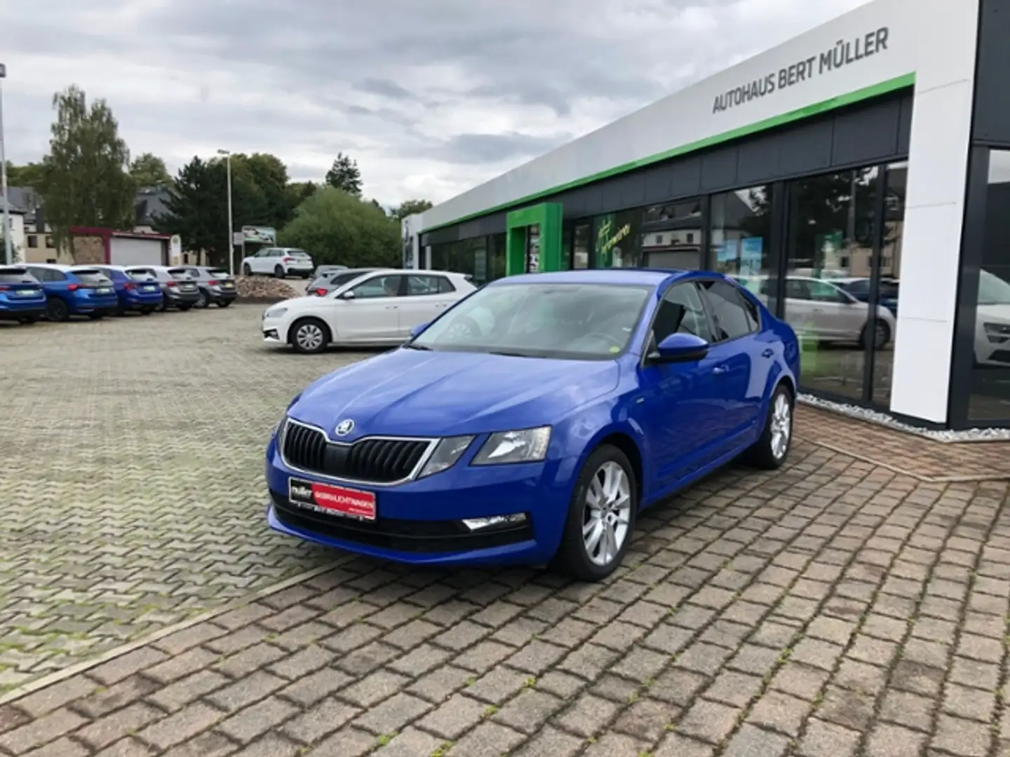 Skoda Octavia TDI Clever SmartLink DAB PDC SHZ Blu/Azzurro - 2