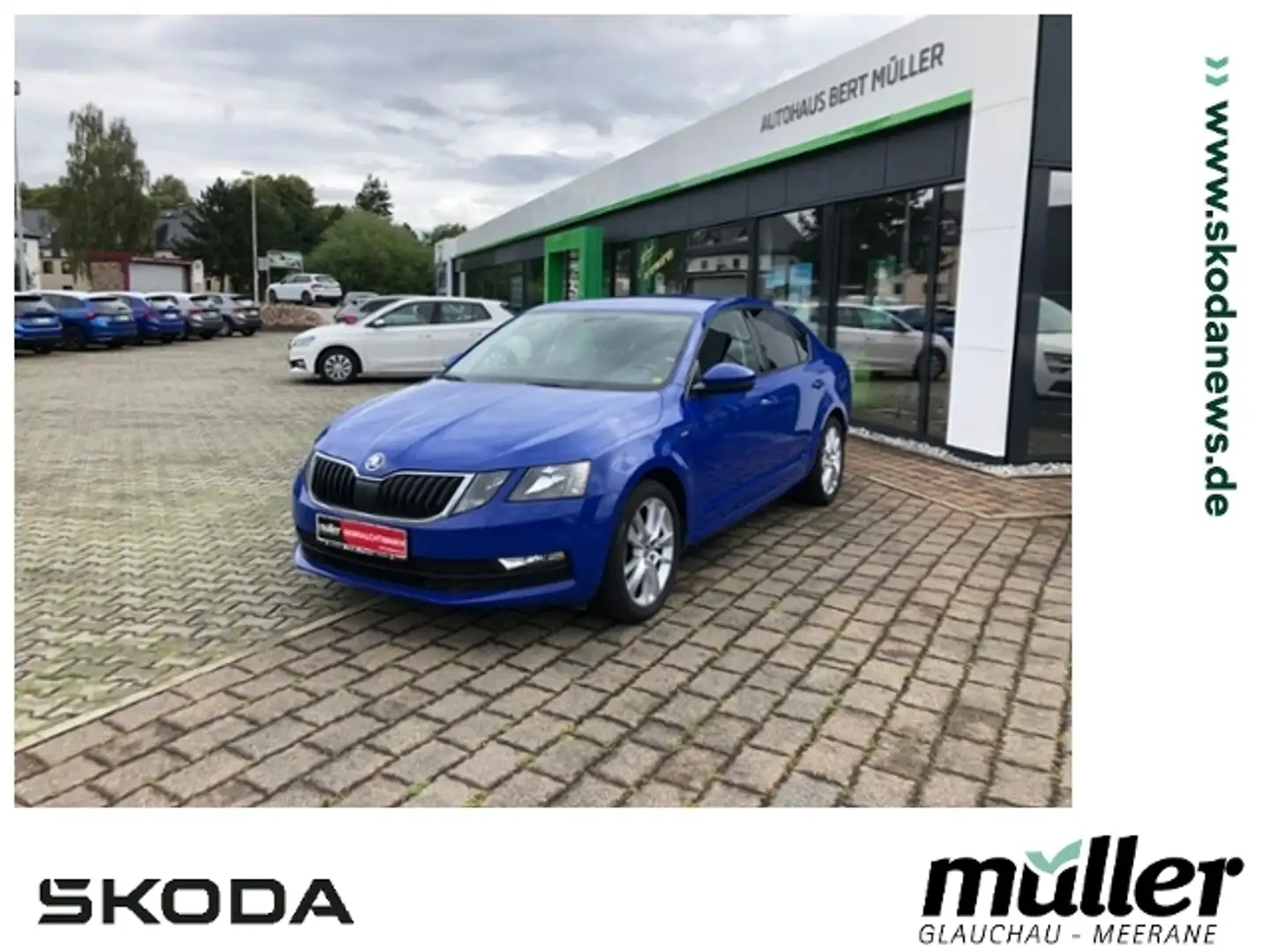 Skoda Octavia TDI Clever SmartLink DAB PDC SHZ Azul - 1