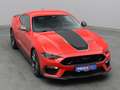 Ford Mustang Mach1 V8 460PS/Alu Y-Design/Navi Rot - thumbnail 37