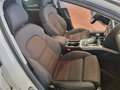 Audi A4 allroad A4 Allroad Quattro 2.0 tdi 190cv s-tronic Bianco - thumbnail 12