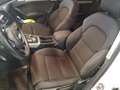 Audi A4 allroad A4 Allroad Quattro 2.0 tdi 190cv s-tronic Bianco - thumbnail 13